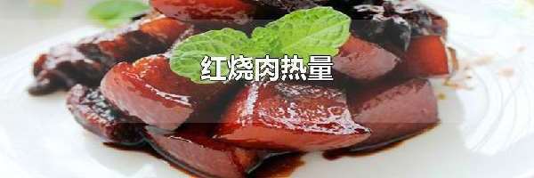 红烧肉热量