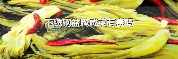 不锈钢盆腌咸菜有毒吗