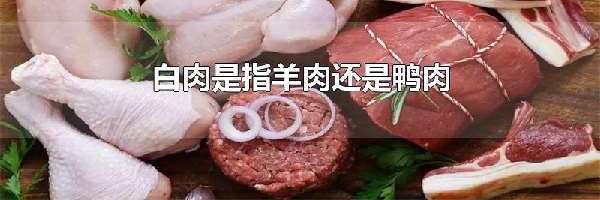 白肉是指羊肉还是鸭肉