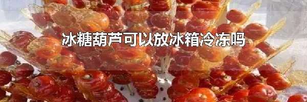 冰糖葫芦可以放冰箱冷冻吗