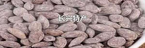 长兴特产