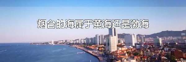 烟台的海属于黄海还是渤海