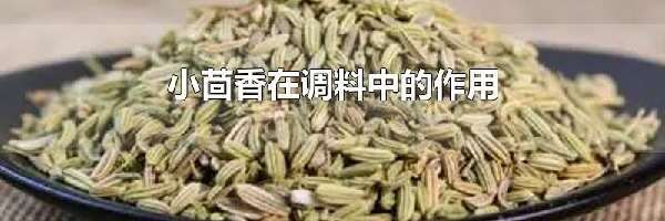 小茴香在调料中的作用