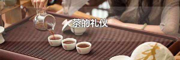 茶的礼仪