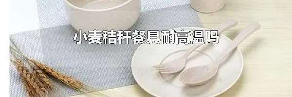 小麦秸秆餐具耐高温吗