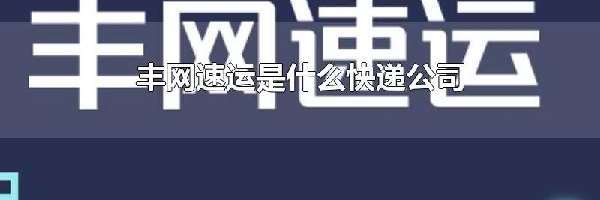 丰网速运是什么快递公司