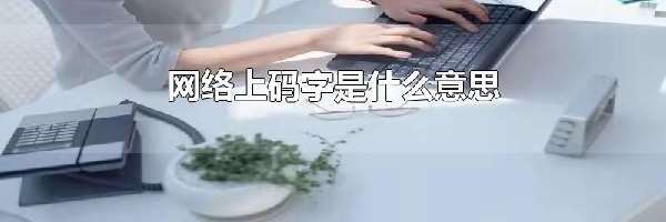 网络上码字是什么意思