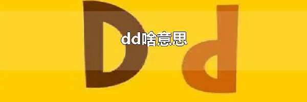 dd啥意思