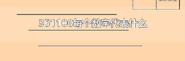 351100每个数字代表什么