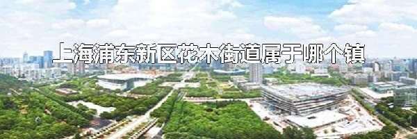 上海浦东新区花木街道属于哪个镇