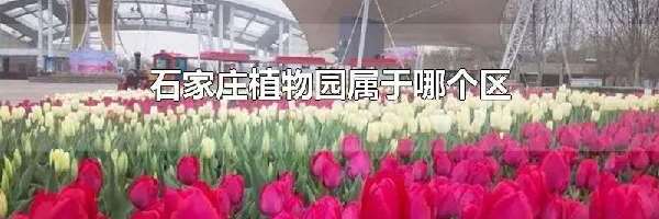 石家庄植物园属于哪个区