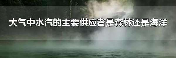 大气中水汽的主要供应者是森林还是海洋