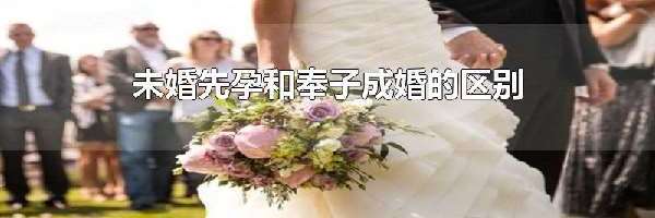 未婚先孕和奉子成婚的区别