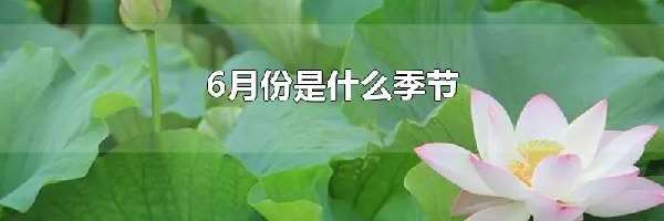 6月份是什么季节