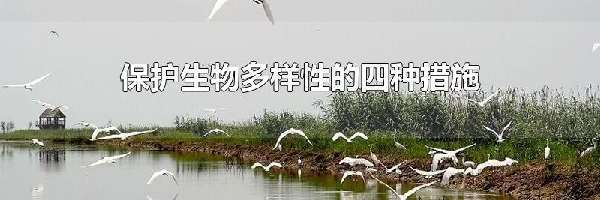 保护生物多样性的四种措施