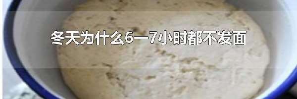 冬天为什么6一7小时都不发面