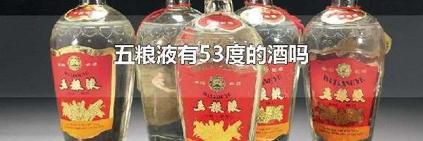 五粮液有53度的酒吗