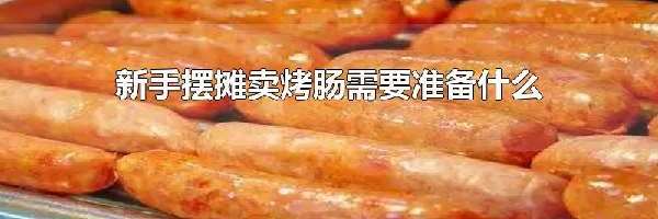 新手摆摊卖烤肠需要准备什么