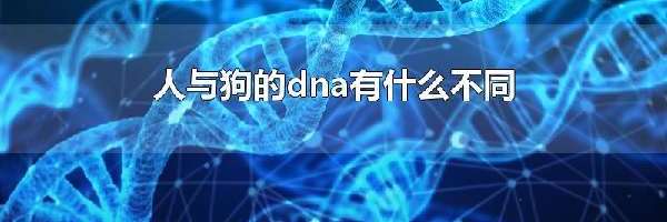 人与狗的dna有什么不同