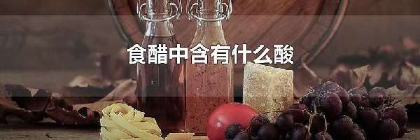 食醋中含有什么酸